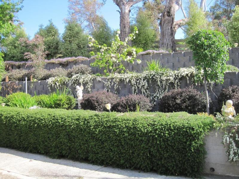 Riverside Trevallyn House B & B מראה חיצוני תמונה