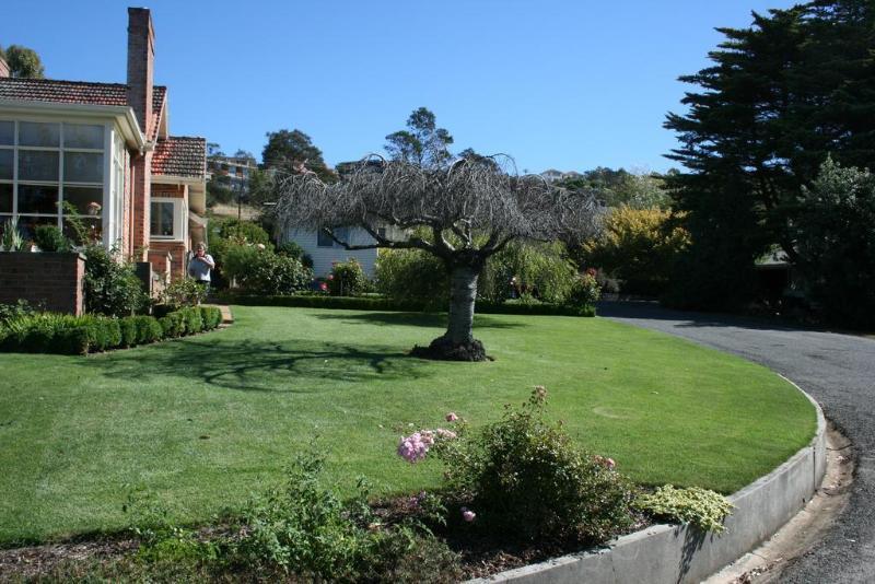 Riverside Trevallyn House B & B מראה חיצוני תמונה
